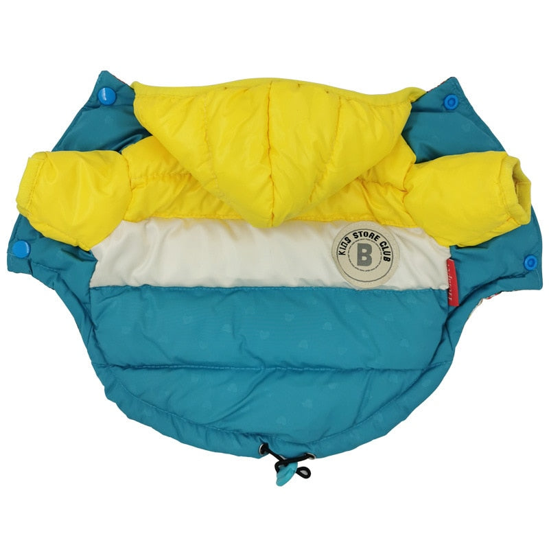 Delizioso caldo piumino con cappuccio per lui e per lei. Per cani, gatti e animali domestici.