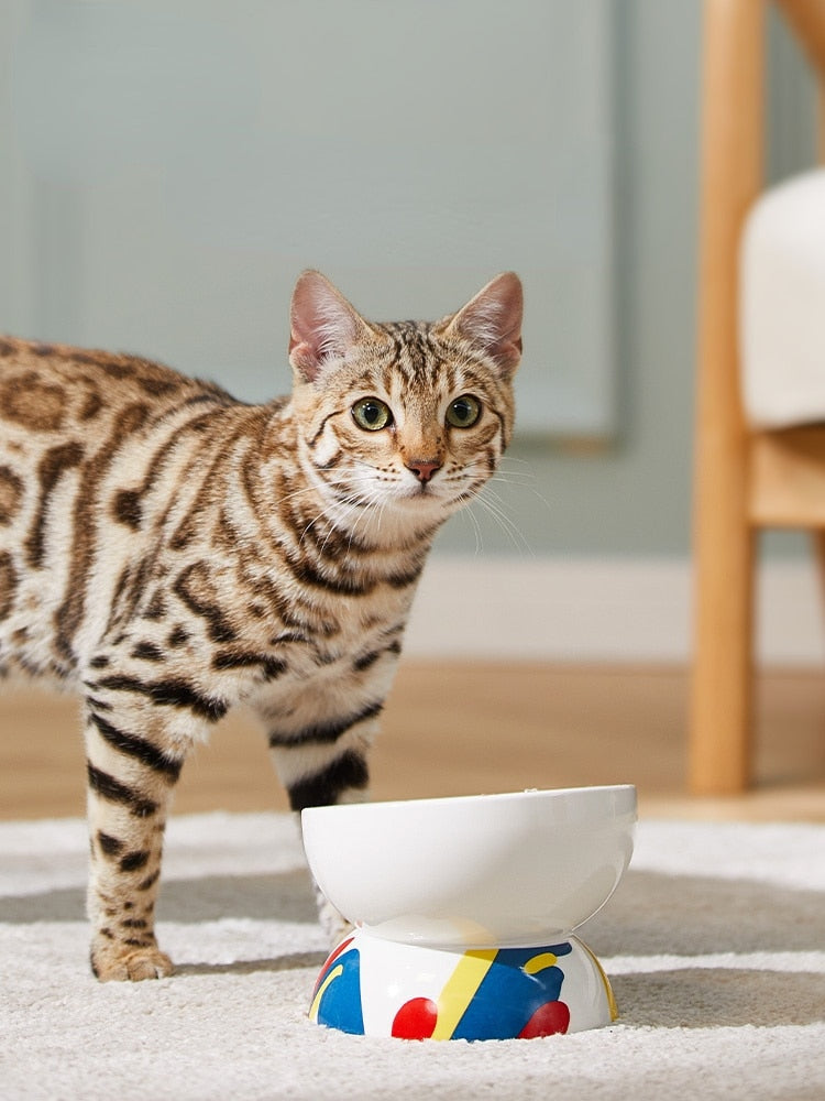 Cat Bowl Ceramic Water Bowl Cat Food Bowl Protect Cervical Spine Cat Oblique Mouth High Bowl Dog Cat Pet Products pet food bowl