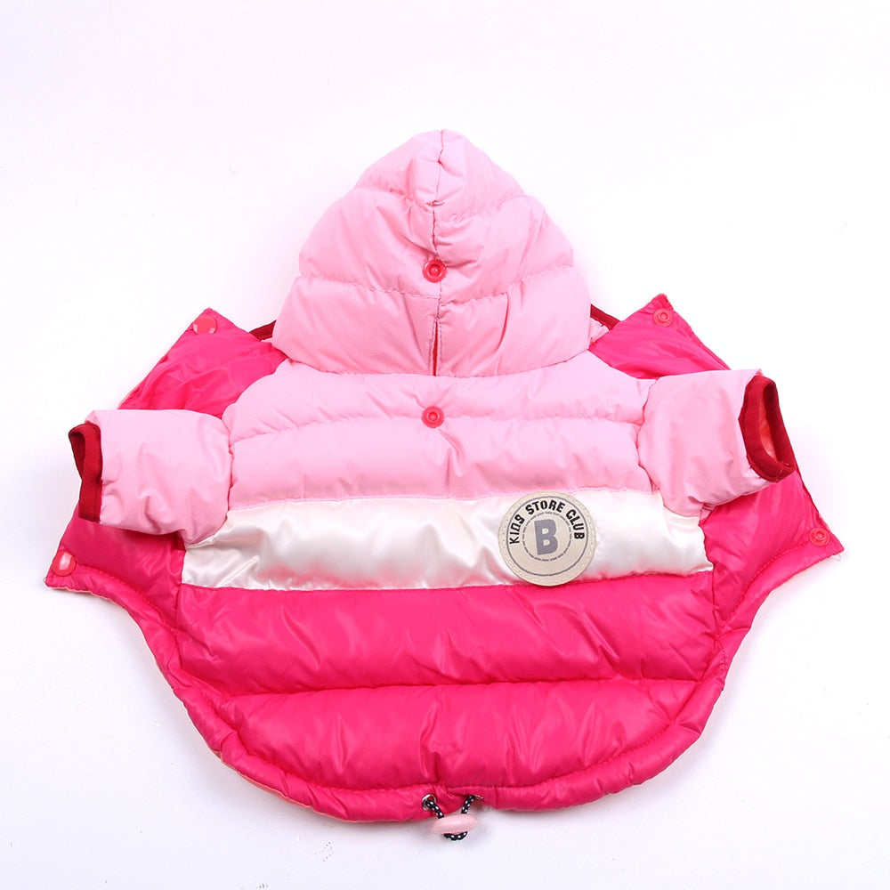 Delizioso caldo piumino con cappuccio per lui e per lei. Per cani, gatti e animali domestici.