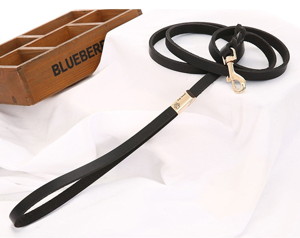 Genuine Leather Dog Leash Small Medium Large Dogs Pet Walking Leash Training Leads 120cm Length Width 1.2 / 2.0cm Black Brown