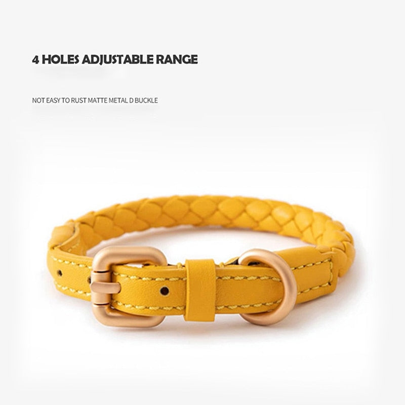 Luxury Leather Pet Dog Collar Leash Set Adjustable Dog Necklace Small Medium Large Dogs Outdoor 120cm Traction Rope Pet Supplies