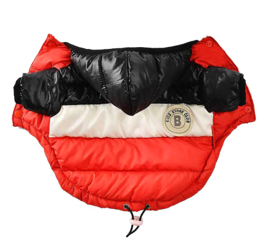 Delizioso caldo piumino con cappuccio per lui e per lei. Per cani, gatti e animali domestici.